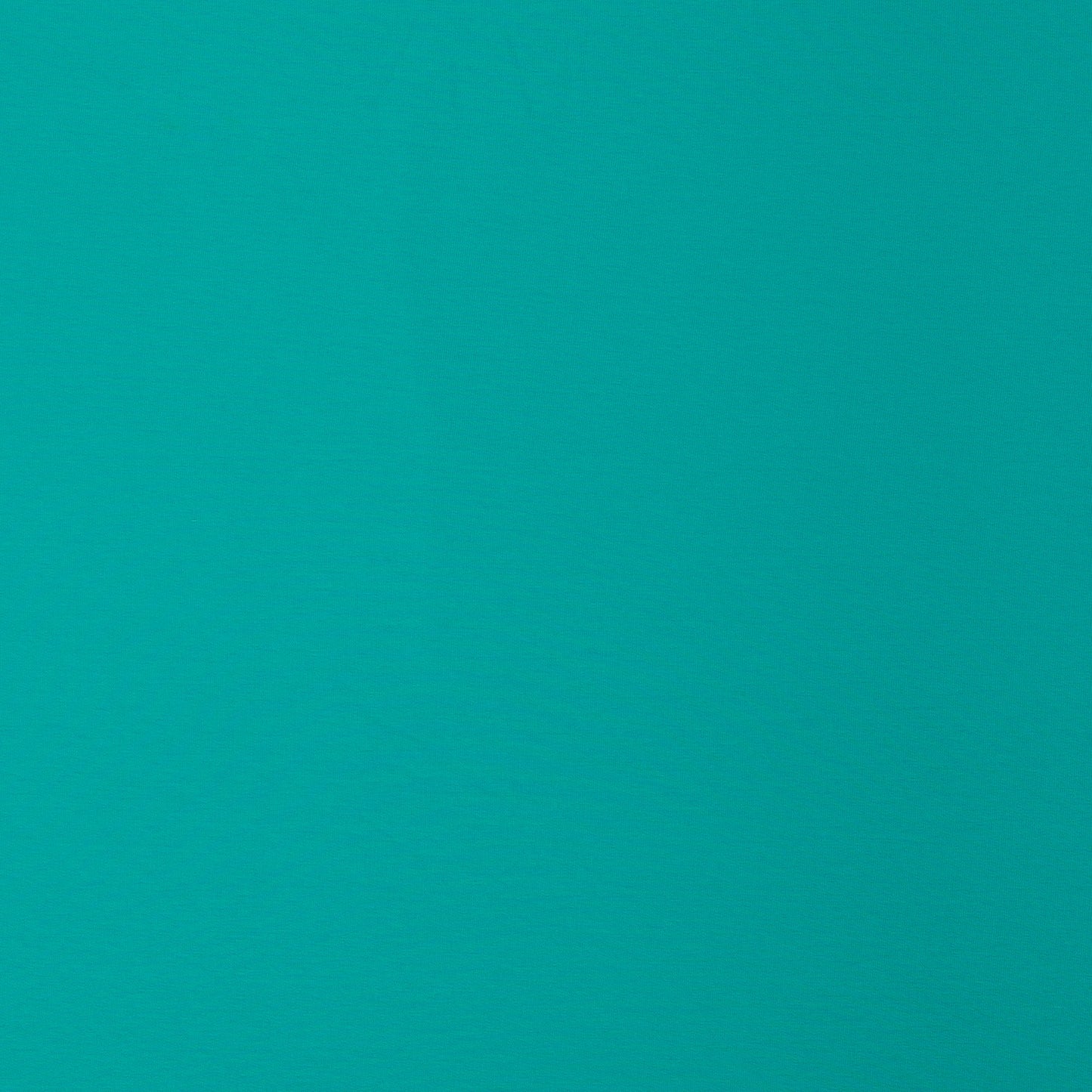 Kokvilnas cilpiņtrikotāža - aqua 240 g/m²