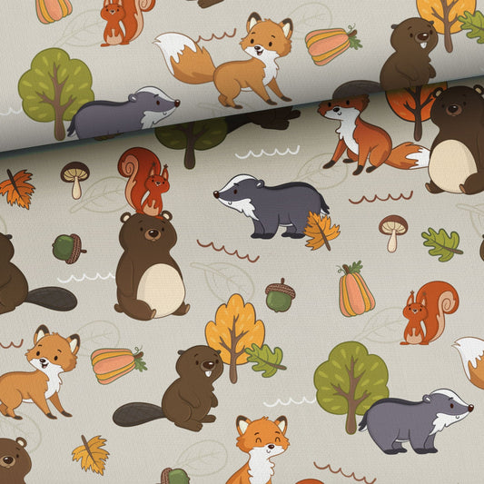 Kokvilnas cilpiņtrikotāža - pasaku motīvs 250 g/m²