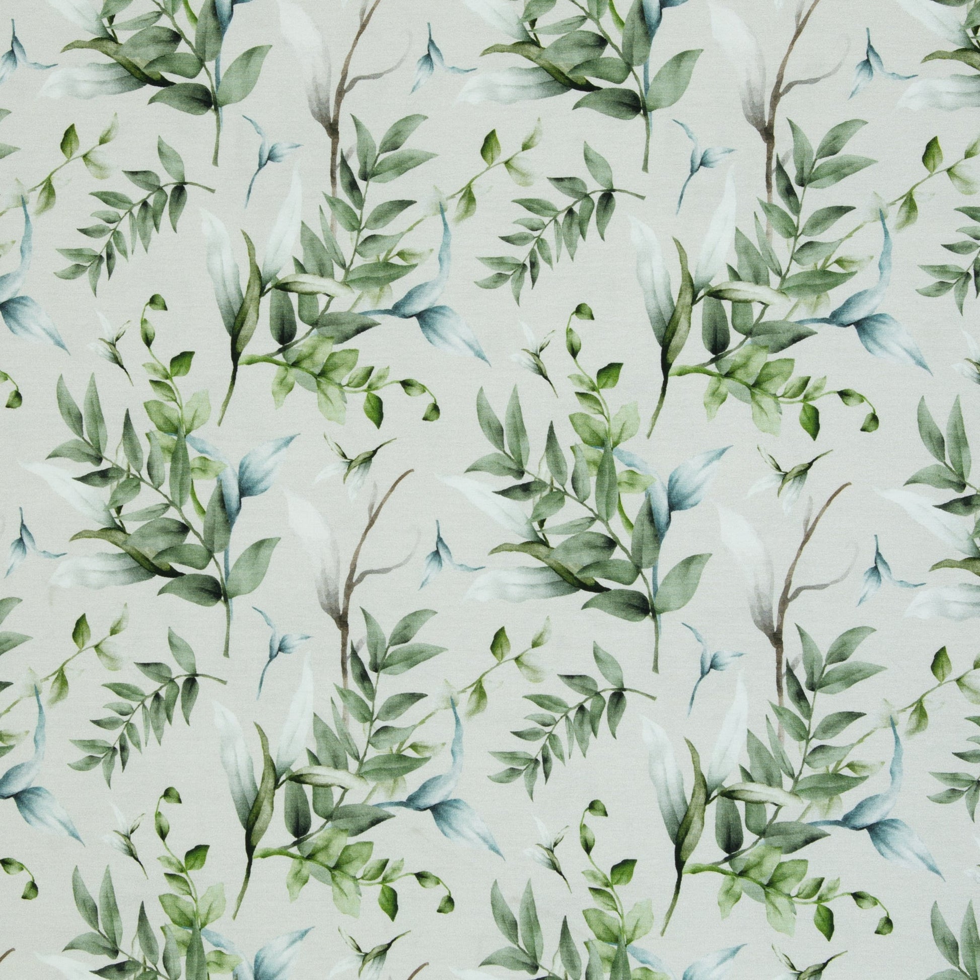 Kokvilnas trikotāža - eikalipta zari 200 g/m²