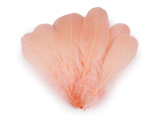 Spalvas zosu (14 - 18 cm) - aprikožu