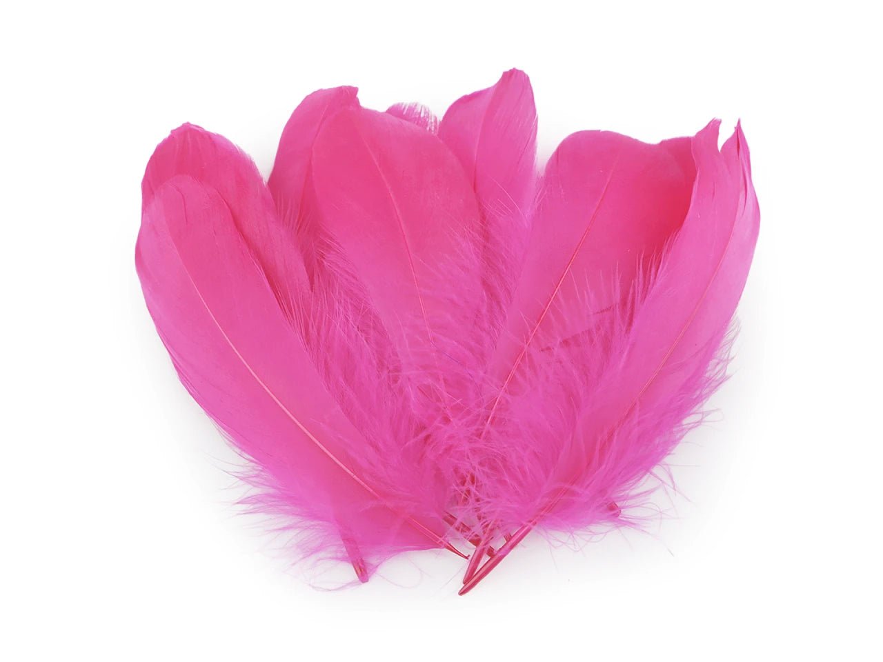 Spalvas zosu (14 - 18 cm) - koši rozā