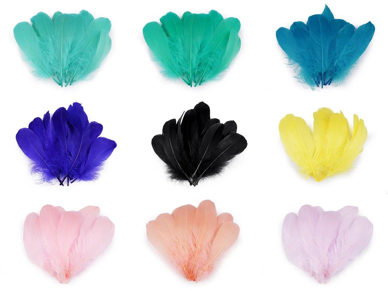 Spalvas zosu (14 - 18 cm) - vecrozā