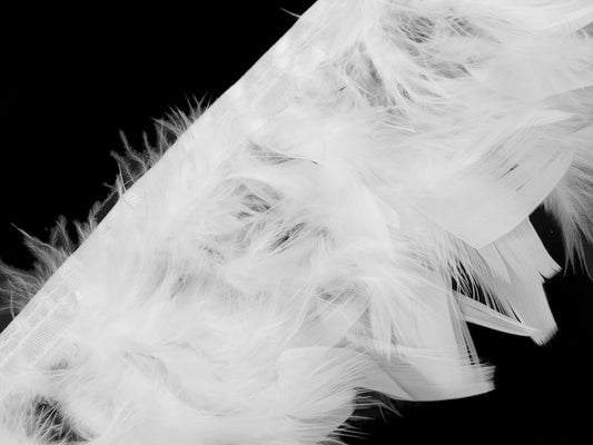 Tītara spalvu apdares lente - balta (50 cm iepakojums)