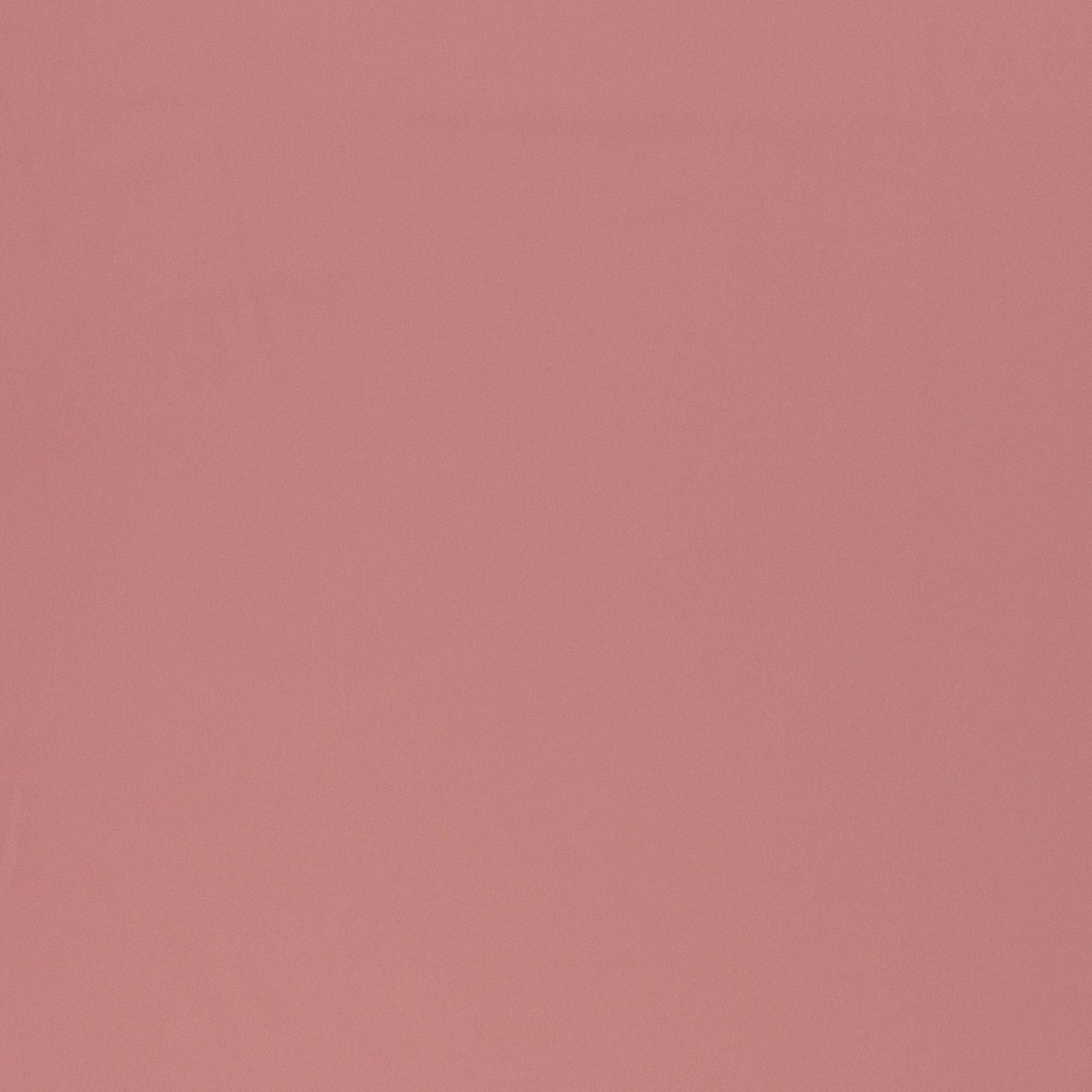 Softshell audums-pūderrozā 300 g/m²