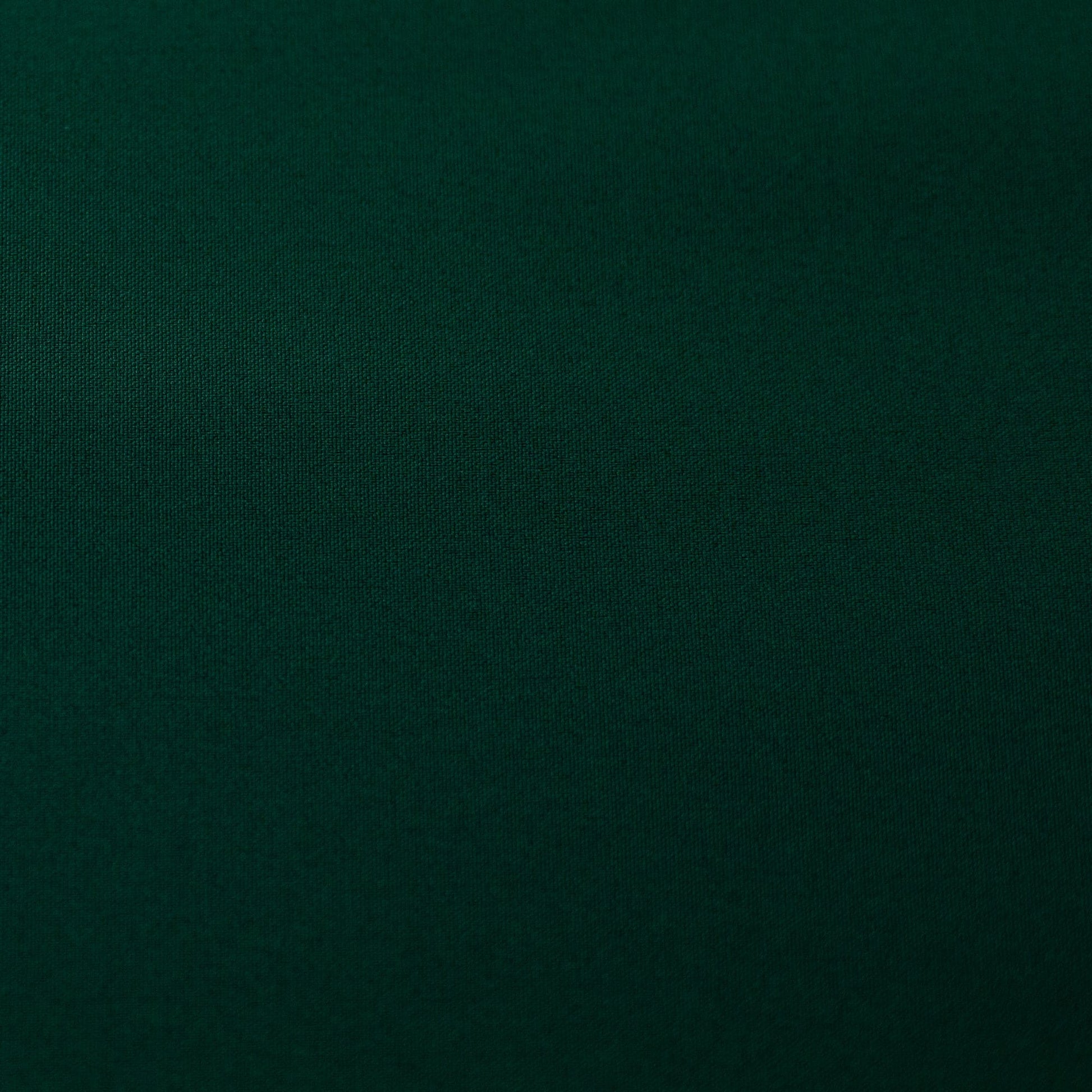 Softshell audums-tumši zaļš 300 g/m²