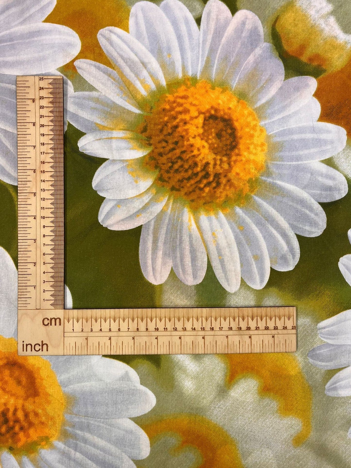 Pilt 100% puuvillakangast – suured karikakrad, 220cm 130 g/m² – saadaval Šarlotes audumi