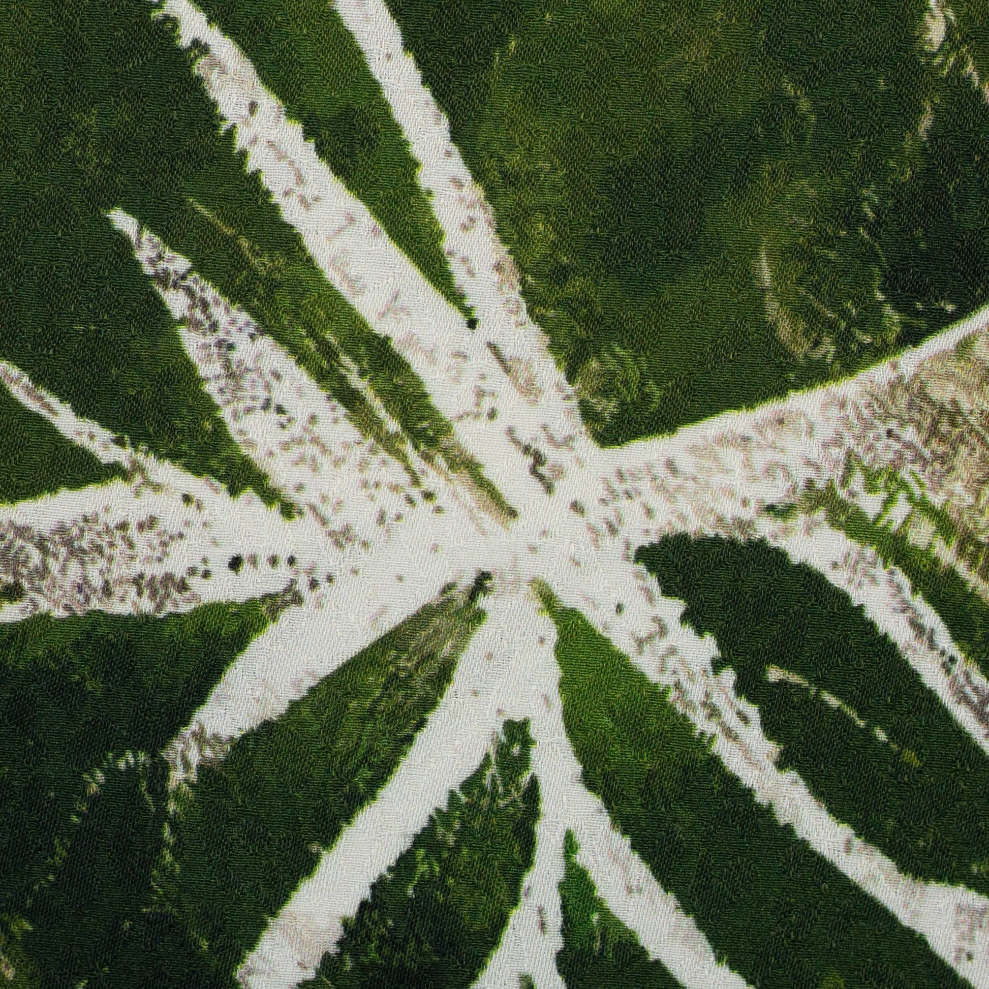 Attēls ar 100% Viskozes audums - džungļu čuksti 100 g/m² – pieejams Šarlotes audumi