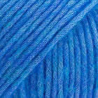 37 · bluebird segu