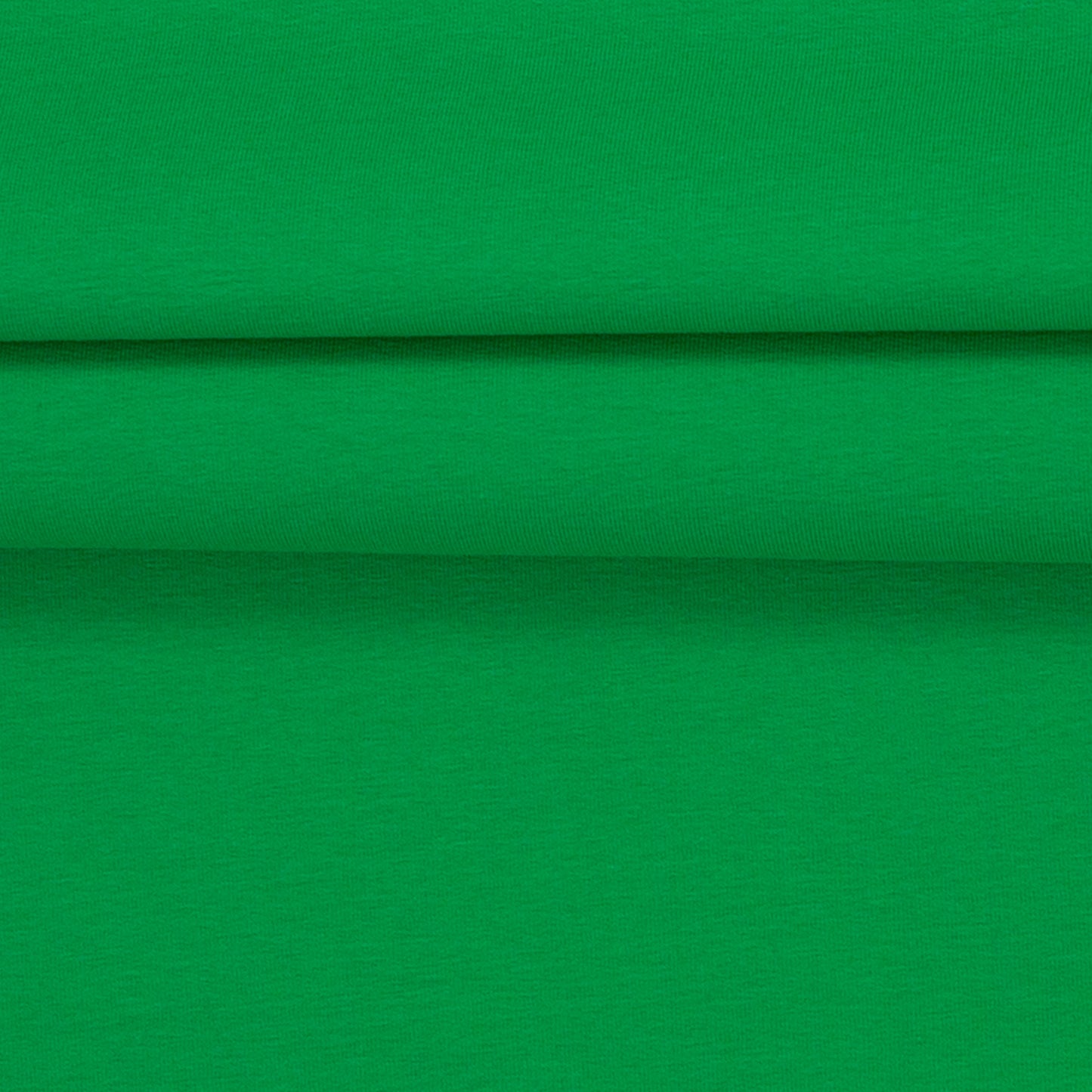 Kokvilnas trikotāža-zāles zaļa 210 g/m²