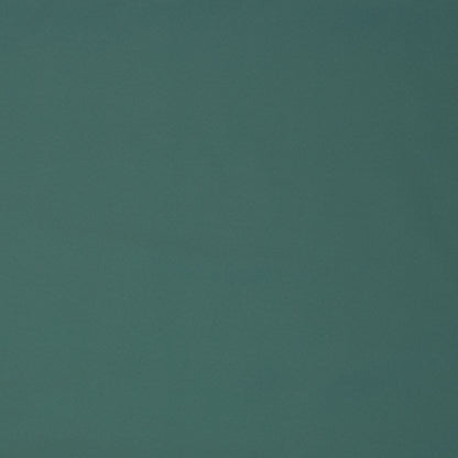 Softshell audums ūdensizturīgs-piparmētras tonis