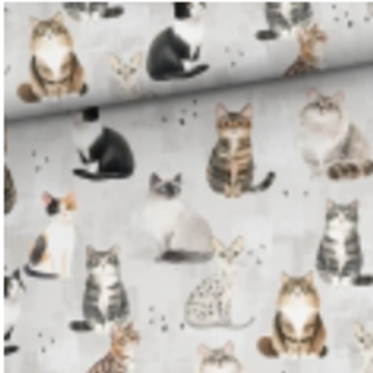 Puuvillane aasaline trikookangas – kassimängud 250 g/m²