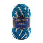 Krauklasküüs (Ravenclaw) – tarkus ja uudishimu.