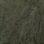 32 dark forest