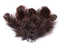 Brownish gray