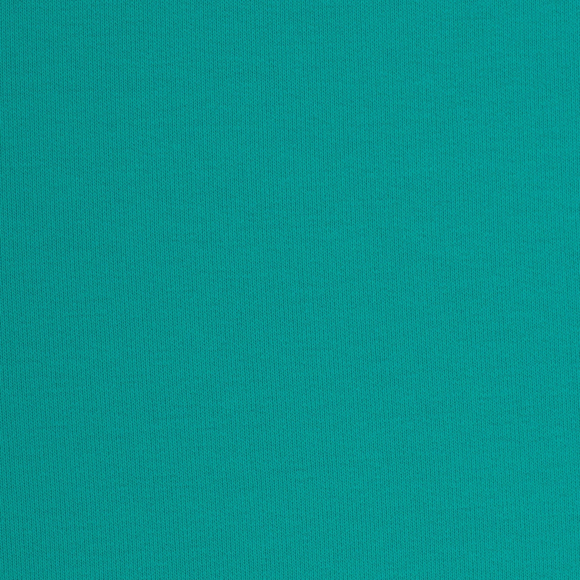 Kokvilnas cilpiņtrikotāža - aqua 240 g/m²