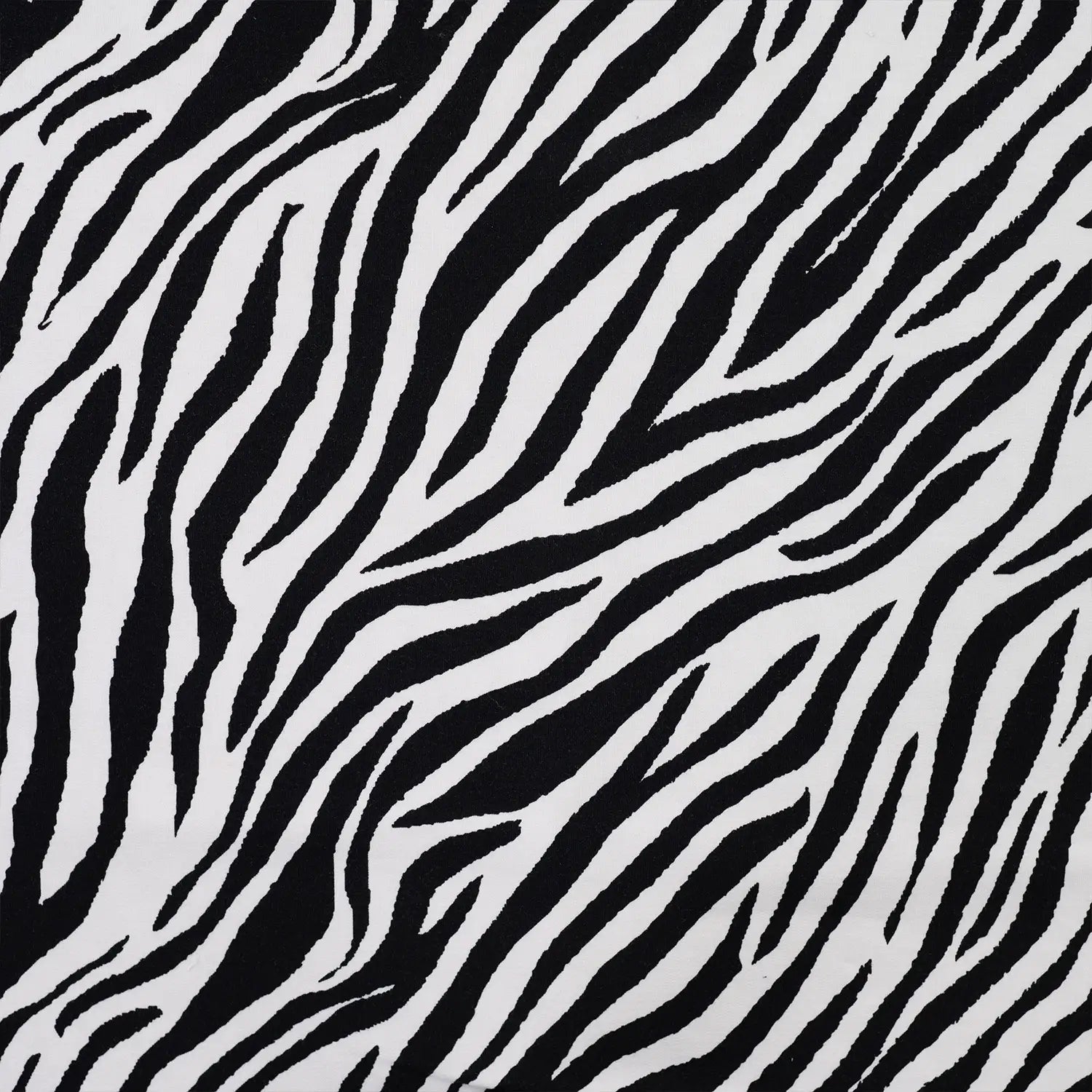 Image de tissu éponge en coton - zèbre 230 g/m² – disponible chez Šarlotes audumi