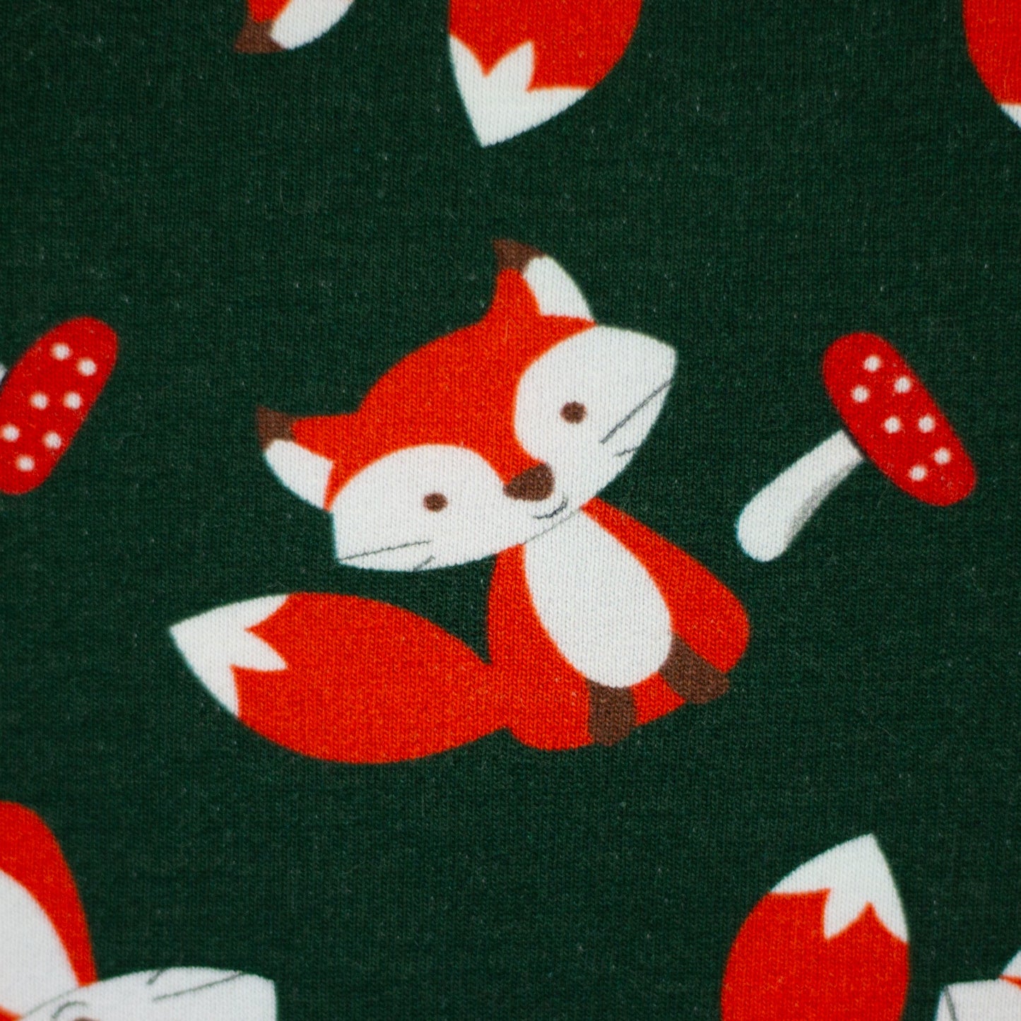 Attēls ar Kokvilnas siltinātā cilpiņtrikotāža - lapsas 230 g/m² – pieejams Šarlotes audumi