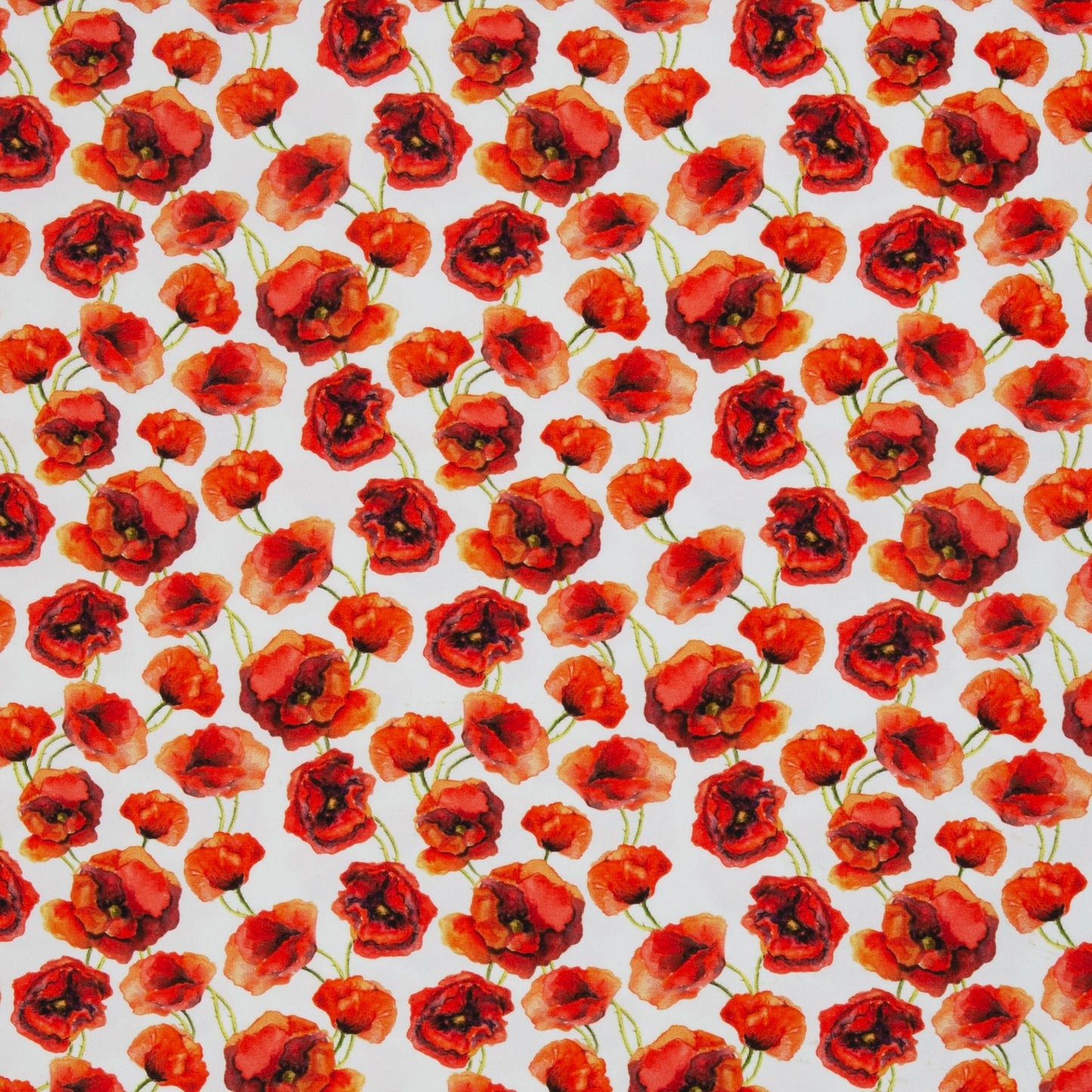 Image of cotton jersey with poppies 210 g/m² available online at Šarlotes audumi