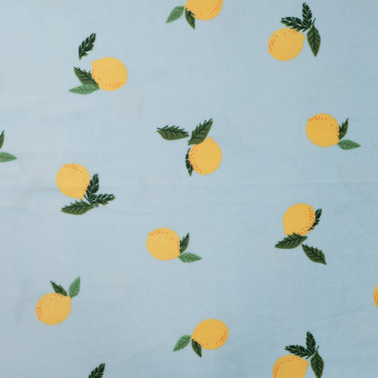 Image avec polaire Minky (lisse) aux citrons 220 g/m² – disponible chez Šarlotes audumi