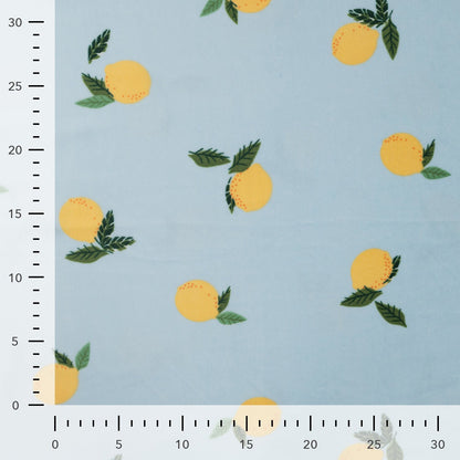 txt
Image avec Minky en polaire (lisse) - citrons 220 g/m² – disponible chez Šarlotes audumi