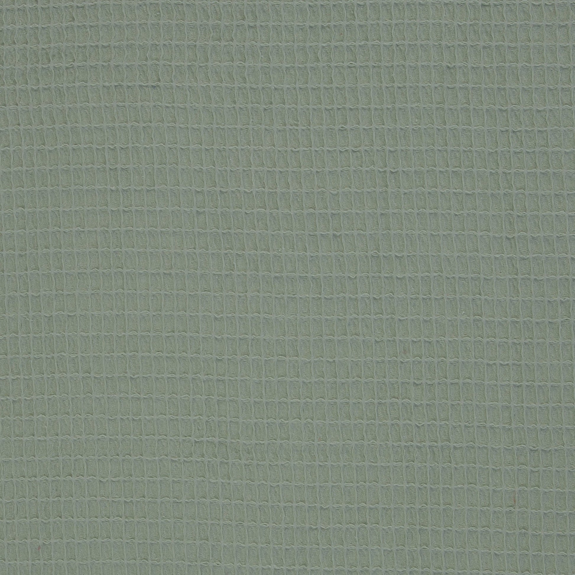 Attēls ar Vafeļaudums - pelēcīgi zaļš 230 g/m² – pieejams Šarlotes audumi